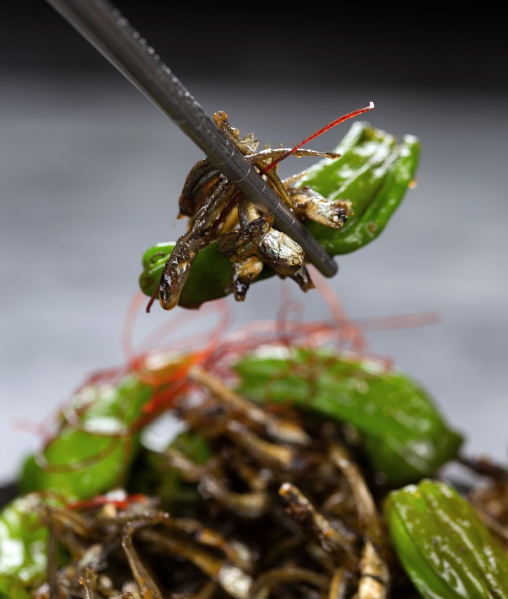 Ggwari-gochu (Shishito Peppers) 꽈리고추 - Kmeals